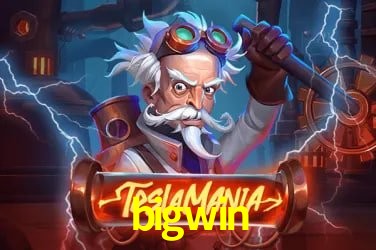 Game Providers bigwin